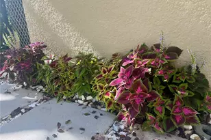 1242 N Fairway Dr, Apopka, FL 32712 - Photo 41