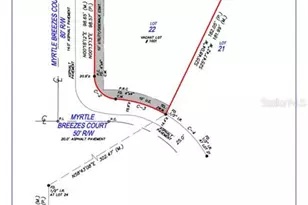 1002 Myrtle Breezes Ct, Fruitland Park, FL 34731 - Photo 1