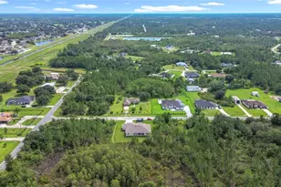 3110 Carnegie Ave, Orlando, FL 32833 - Photo 67