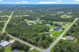 3110 Carnegie Ave, Orlando, FL 32833 - Photo 71