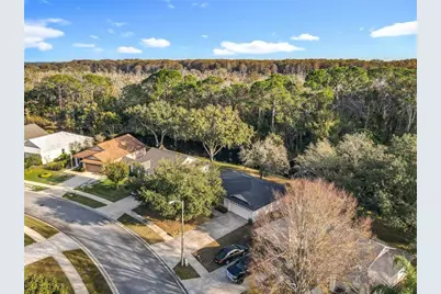 880 Vindale Road, Tavares, FL 32778 - Photo 39