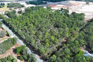 37600 Rolling Acres Rd, Lady Lake, FL 32159 - Photo 31
