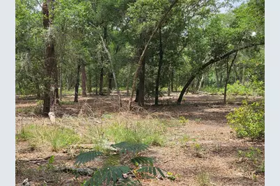 37600 Rolling Acres Road, Lady Lake, FL 32159 - Photo 51