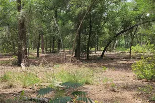 37600 Rolling Acres Rd, Lady Lake, FL 32159 - Photo 51