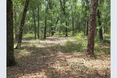 37600 Rolling Acres Road, Lady Lake, FL 32159 - Photo 53