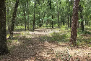 37600 Rolling Acres Rd, Lady Lake, FL 32159 - Photo 53