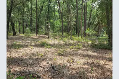 37600 Rolling Acres Road, Lady Lake, FL 32159 - Photo 37