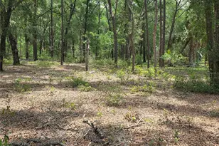 37600 Rolling Acres Rd, Lady Lake, FL 32159 - Photo 37