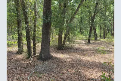 37600 Rolling Acres Road, Lady Lake, FL 32159 - Photo 39