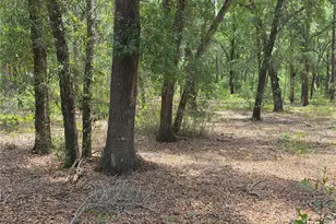 37600 Rolling Acres Rd, Lady Lake, FL 32159 - Photo 39