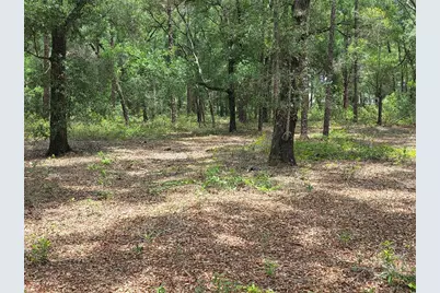 37600 Rolling Acres Road, Lady Lake, FL 32159 - Photo 49