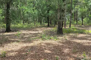 37600 Rolling Acres Rd, Lady Lake, FL 32159 - Photo 49