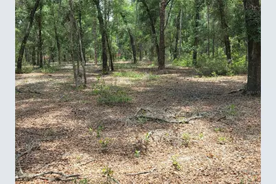 37600 Rolling Acres Road, Lady Lake, FL 32159 - Photo 47