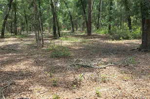 37600 Rolling Acres Rd, Lady Lake, FL 32159 - Photo 47