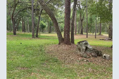 37600 Rolling Acres Road, Lady Lake, FL 32159 - Photo 31