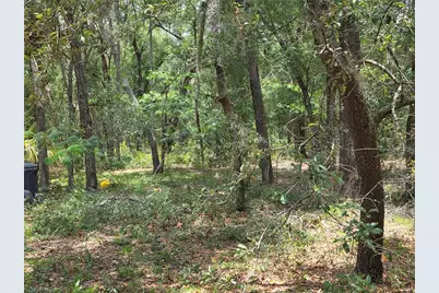 37600 Rolling Acres Road, Lady Lake, FL 32159 - Photo 59