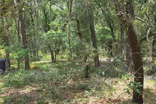 37600 Rolling Acres Rd, Lady Lake, FL 32159 - Photo 59