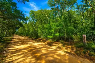 37600 Rolling Acres Rd, Lady Lake, FL 32159 - Photo 25