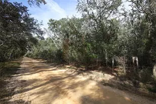 37600 Rolling Acres Rd, Lady Lake, FL 32159 - Photo 13