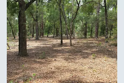 37600 Rolling Acres Road, Lady Lake, FL 32159 - Photo 45