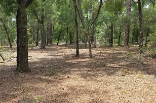 37600 Rolling Acres Rd, Lady Lake, FL 32159 - Photo 45