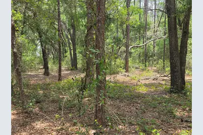 37600 Rolling Acres Road, Lady Lake, FL 32159 - Photo 57