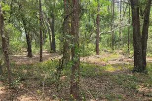 37600 Rolling Acres Rd, Lady Lake, FL 32159 - Photo 57