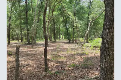 37600 Rolling Acres Road, Lady Lake, FL 32159 - Photo 35