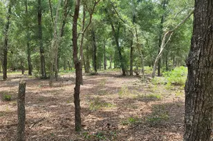 37600 Rolling Acres Rd, Lady Lake, FL 32159 - Photo 35