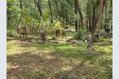 37600 Rolling Acres Road, Lady Lake, FL 32159 - Photo 55
