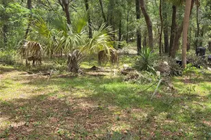 37600 Rolling Acres Rd, Lady Lake, FL 32159 - Photo 55