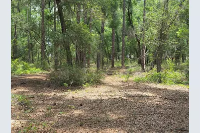 37600 Rolling Acres Road, Lady Lake, FL 32159 - Photo 41