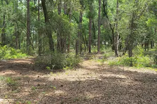 37600 Rolling Acres Rd, Lady Lake, FL 32159 - Photo 41