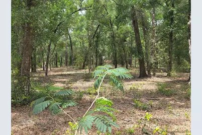 37600 Rolling Acres Road, Lady Lake, FL 32159 - Photo 43