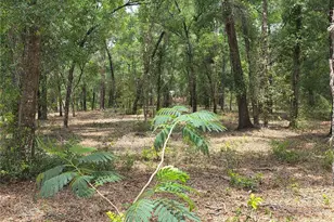 37600 Rolling Acres Rd, Lady Lake, FL 32159 - Photo 43