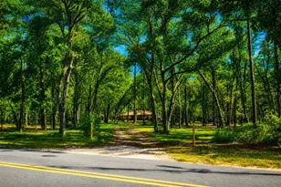 37600 Rolling Acres Rd, Lady Lake, FL 32159 - Photo 19