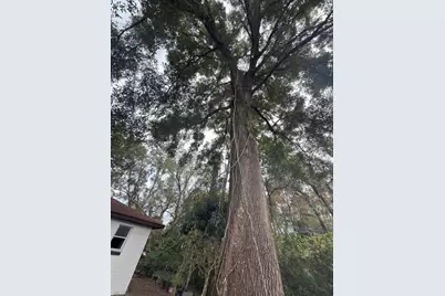 3750 Roseboro Street, Orlando, FL 32805 - Photo 19