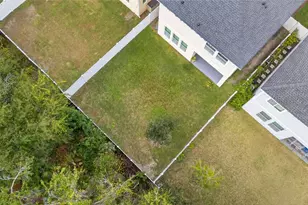 4294 Hibiscus Bloom Dr, Orlando, FL 32822 - Photo 85