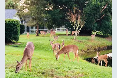 300 Sweetwater Bay Court, Longwood, FL 32779 - Photo 25
