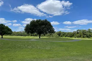 3430 Sagebrush St, Harmony, FL 34773 - Photo 17