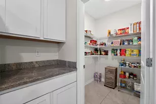 32597 Canyonlands Dr, Wesley Chapel, FL 33543 - Photo 11