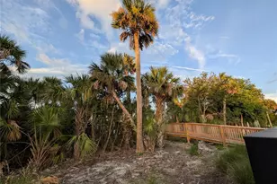 152 Jones Fish Camp Rd, Edgewater, FL 32141 - Photo 25