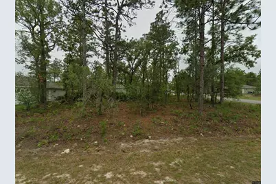 2084 W Riley Drive, Citrus Springs, FL 34434 - Photo 3