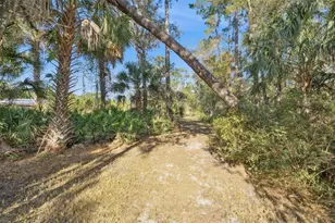 Brigham Loop, Geneva, FL 32732 - Photo 23