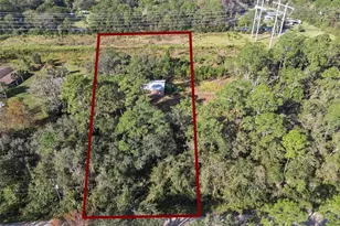 Brigham Loop, Geneva, FL 32732 - Photo 43