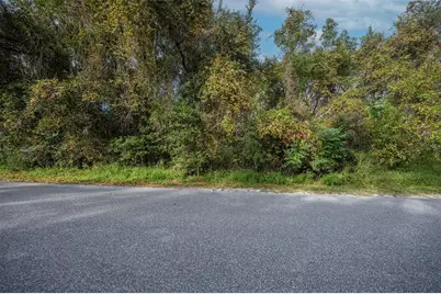 Royal Oak Road, Fruitland Park, FL 34731 - Photo 3