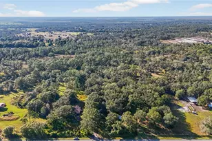 41750 State Road 64 E, Myakka City, FL 34251 - Photo 5