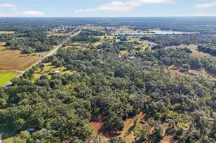 41750 State Road 64 E, Myakka City, FL 34251 - Photo 15