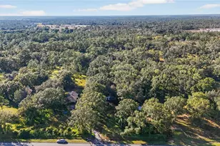 41750 State Road 64 E, Myakka City, FL 34251 - Photo 9