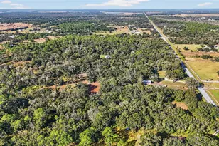 41750 State Road 64 E, Myakka City, FL 34251 - Photo 11